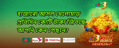 স্লট গেমে ফ্রি স্পিন অফার promotion